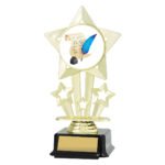 Icon Star - Knowledge