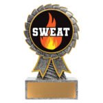 Aster - Sweat Training