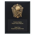 Cosmos Super Plaque - Pool