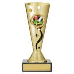 Carnival Cup - Cricket