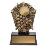 Cosmos Super Mini - Pool