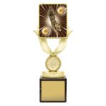 Lynx Sentry - Fielding