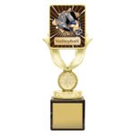 Lynx Sentry - Volleyball