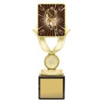 Lynx Sentry - American Football