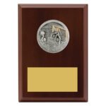 Peak Plaque Water Polo