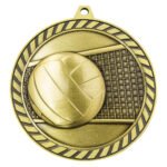 Venture Medal Volleyball