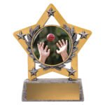 Mini Star Colour - Fielding