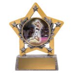 Mini Star Colour - Player