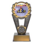 Go Kart Polaris - Colour