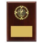 Varsity Plaque - Gymnastics