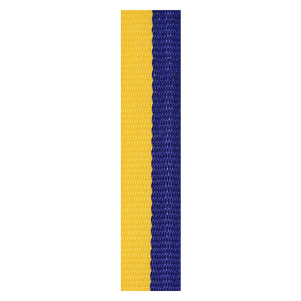 RL32 Blue / Gold Loop Ribbon - Image 1