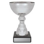 Reverie Cup - Silver