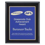 Designer Blue Plaque