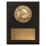 Challenge Plaque - Volleyball