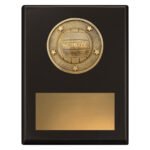 Challenge Plaque - Netball