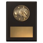 Challenge Plaque - MMA