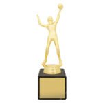 Marble Column - Male Volleyball