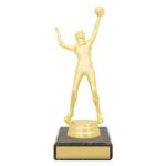 Figure Trophy - Male Volleyball