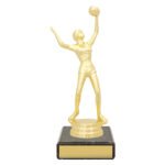 Figure Trophy - Female Volleyball