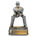 Cricket Wicketkeeper