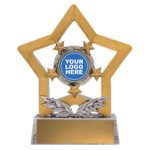 Achievement Mini Star