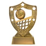 Volleyball Gold Shield