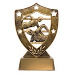 Swim Gold Shield