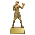 Action Boxer