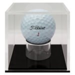 Golf Ball Case