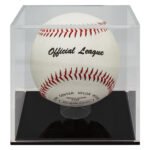 Baseball Ball Case