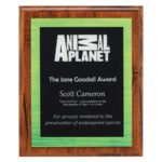 Vivid Green Plaque