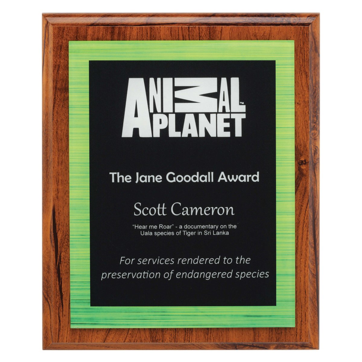 ACW814 Vivid Green Plaque - Image 1