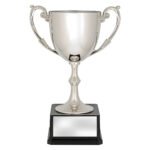 Recognition Cups