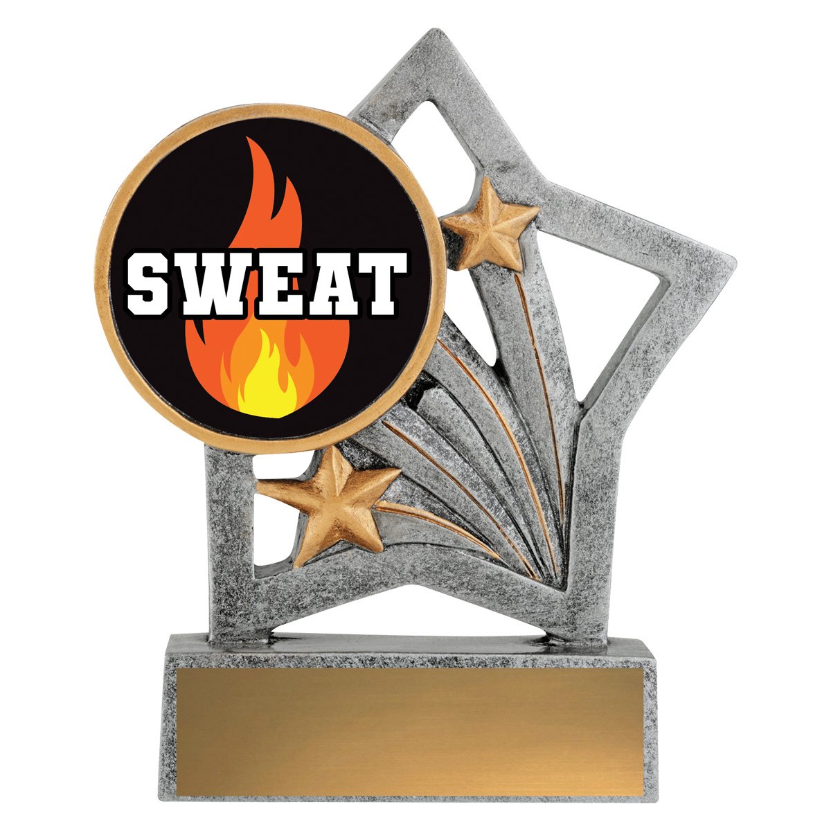 ASF210 Flash - Sweat Training - Image 1