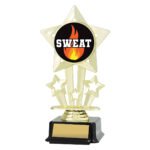 Icon Star - Sweat