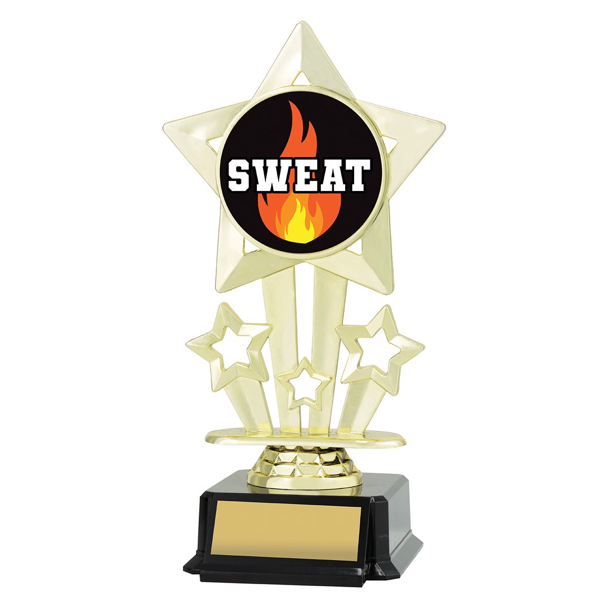ASS510 Icon Star - Sweat - Image 1