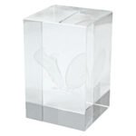Crystal Block Award