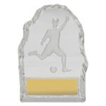 Football Crystal Iceberg Award