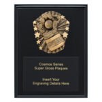 Cosmos Super Plaque - Wicketkeeper - 225mm