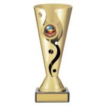 Carnival Cup - Academic