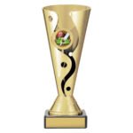 Carnival Cup - Cricket