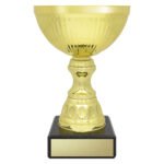 Reverie Cup - Gold
