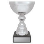 Reverie Cup - Silver