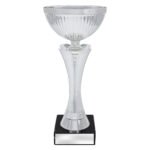 Equity Cup