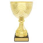Community Cup