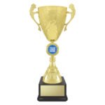 Showdown Cup