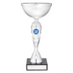 Silver Vector Cup