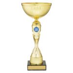 Gold Vector Cup