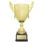 Ironside Cup - Gold