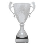 Silver Eternal Cups